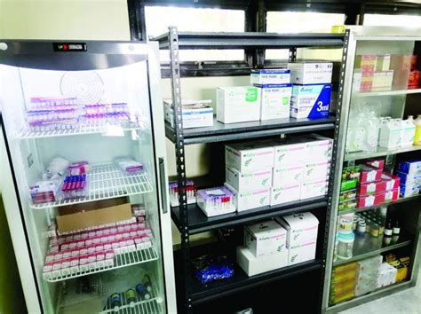 alivet animal clinic bacolod, negros occidental|NegOcc opens capitol.